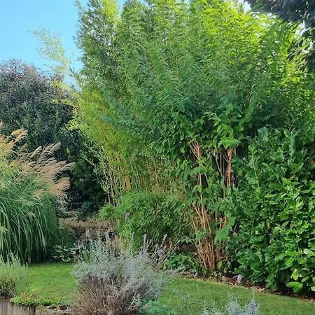 Ulli's Oase Apartment