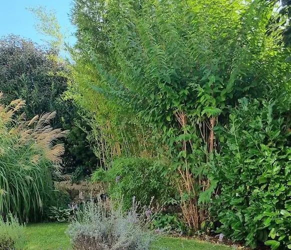 Ulli's Oase Apartman